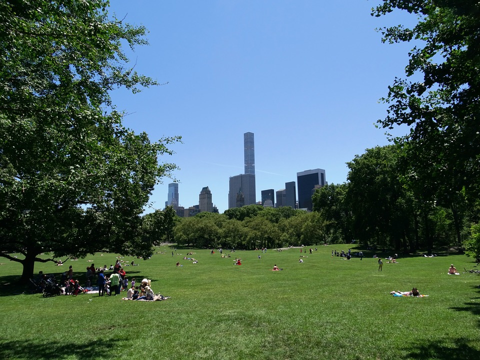 central park lawn